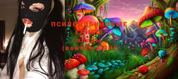 ECSTASY Абинск