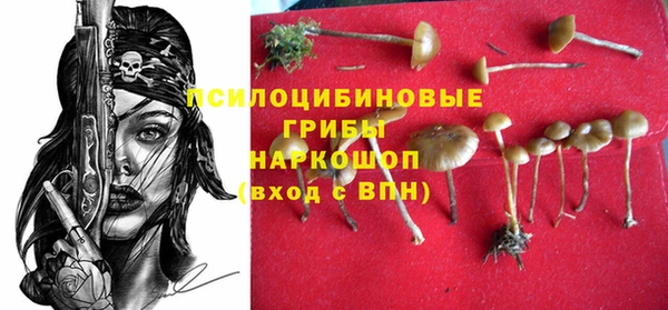 скорость Абаза