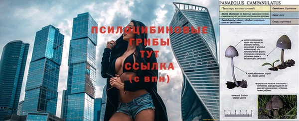 гидропоника Абдулино