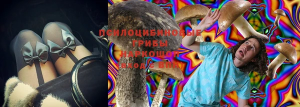 скорость Абаза