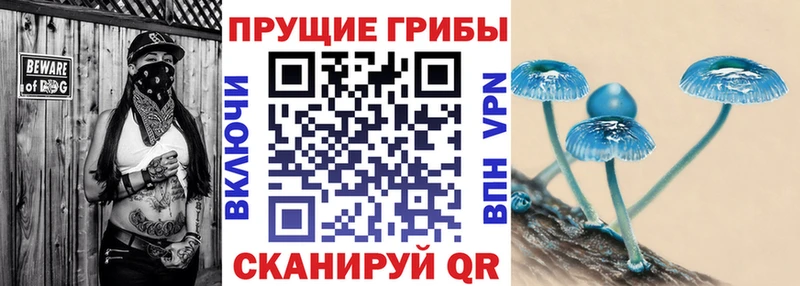 Галлюциногенные грибы мухоморы  мега сайт  Углегорск 